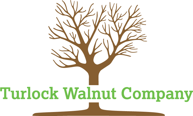 Turlock Walnut